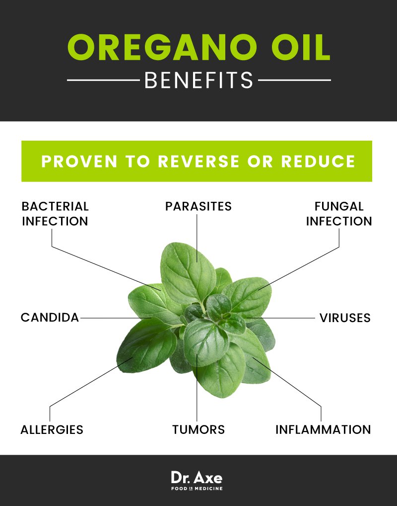 oregano oil benefits